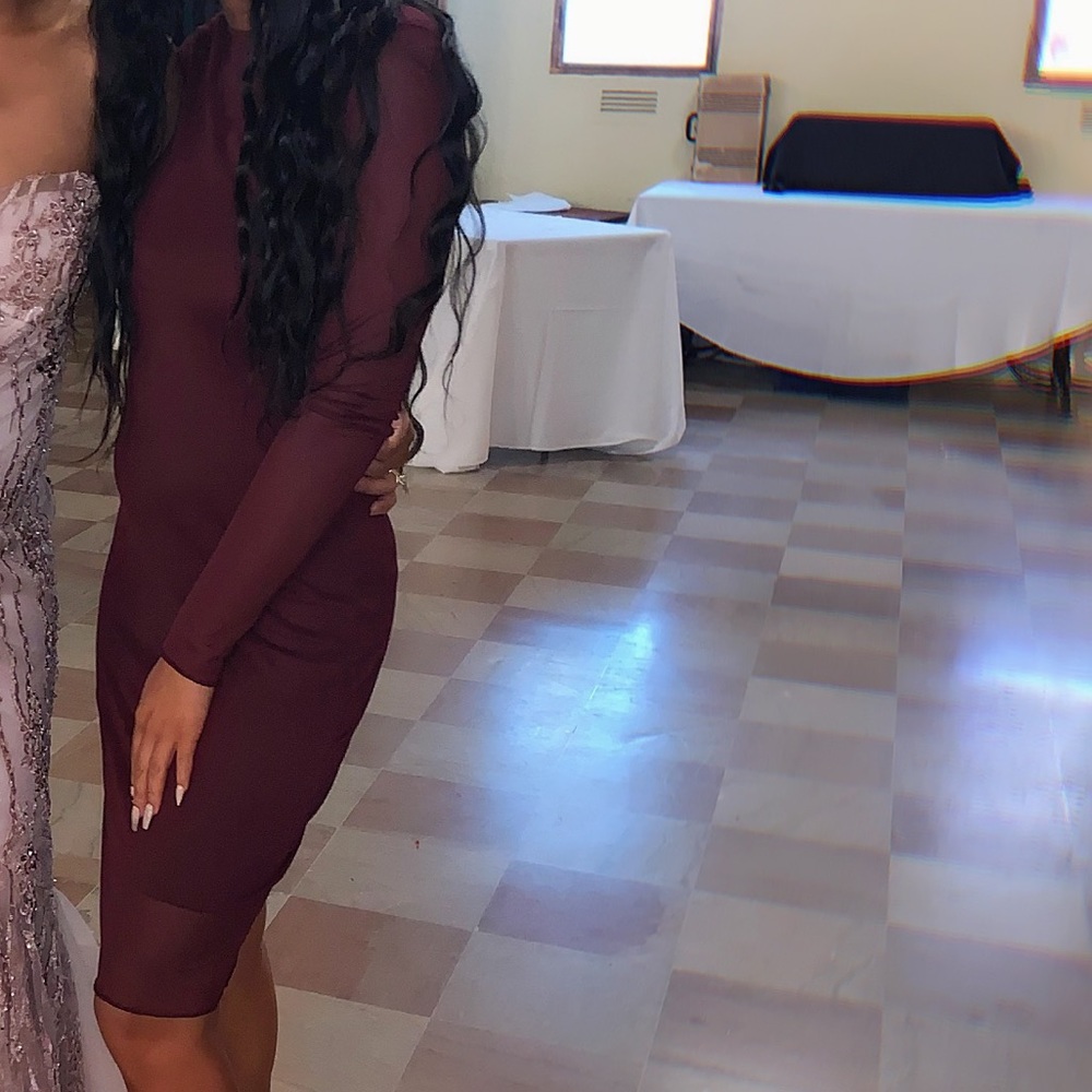 Forever 21 Long sleeve mesh dress ( Worn Once )